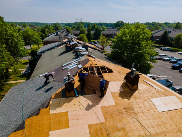 Quick and Trustworthy Emergency Roof Repair Services in Holland, MI