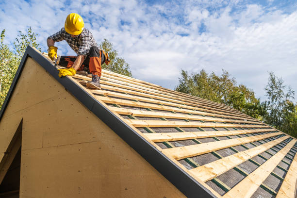 Best Residential Roofing Contractor  in Holland, MI