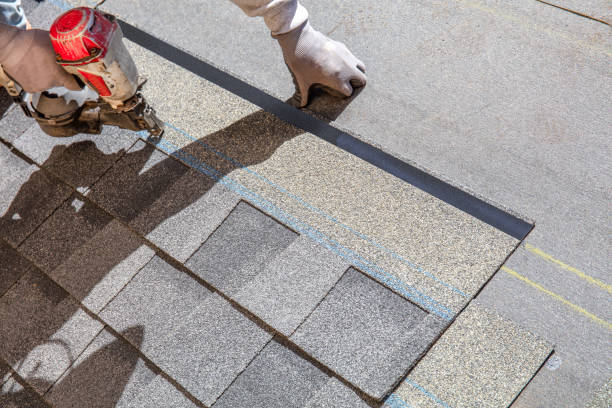 Best Gutter Installation and Roofing  in Holland, MI