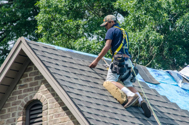 Best Emergency Roof Repair  in Holland, MI